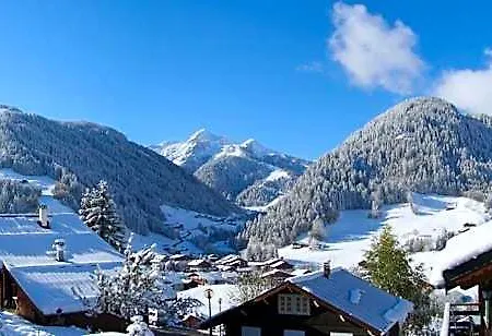 Resort Vtf Le Rafour Areches