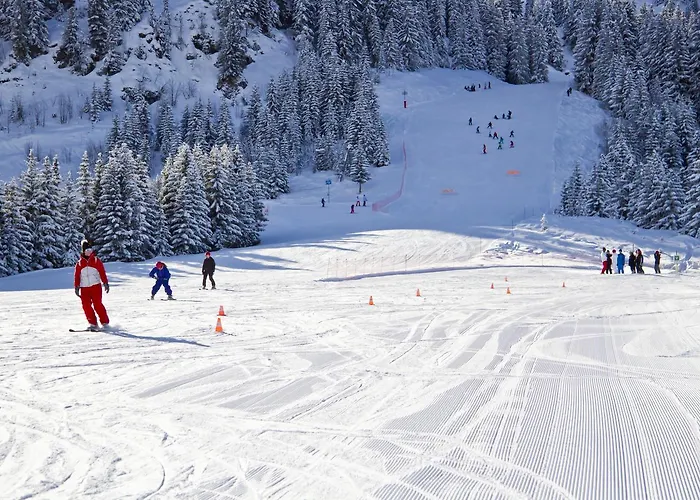 Semesteranläggning (resort) Vtf Le Rafour